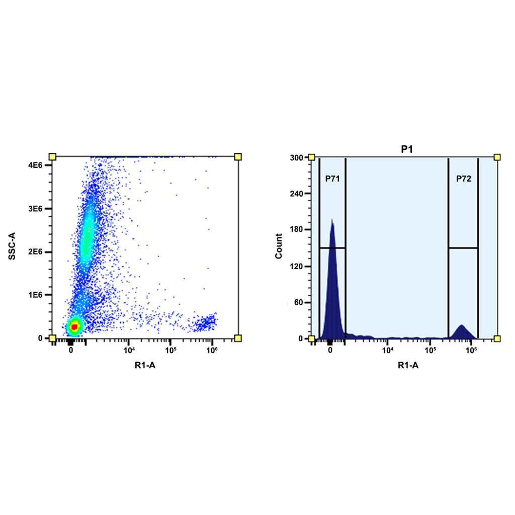 预活化 APC 马来酰亚胺；活化别藻蓝蛋白；ReadiUse Preactivated APC Maleimide；Activated Allophycocyanin