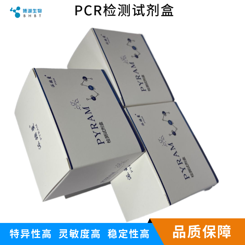 猪星状病毒染料法荧光定量RT-PCR试剂盒