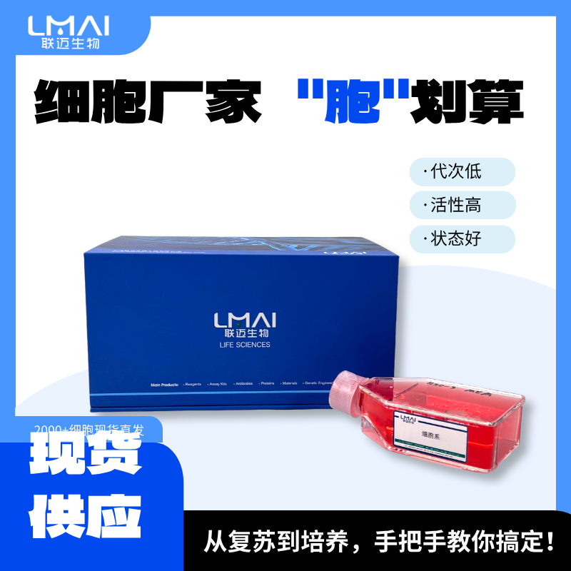 ECC10细胞（人胃小细胞癌）LM8C1841