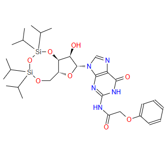 N-(苯氧基乙酰基)-3',5'-O-[1,1,3,3-四(异丙基)-1,3-二硅氧烷二基]鸟苷；