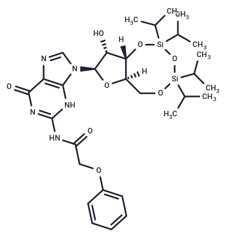 N-(苯氧基乙酰基)-3',5'-O-[1,1,3,3-四(异丙基)-1,3-二硅氧烷二基]鸟苷；