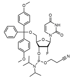 2'-F-dU 亚磷酰胺单体；146954-75-8
