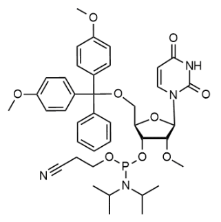 2'-OMe-dU亚磷酰胺单体；110764-79-9