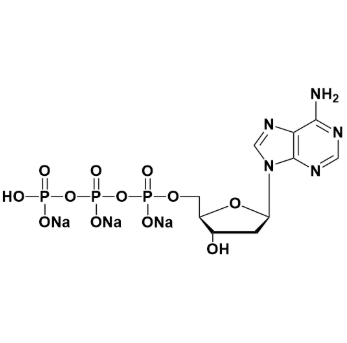 2'-脱氧腺苷-5'-三磷酸三钠盐；54680-12-5