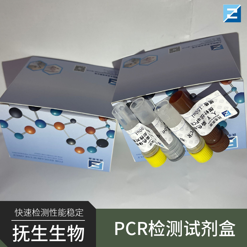 猪瘟病毒(CSFV)核酸检测试剂盒(荧光PCR法)