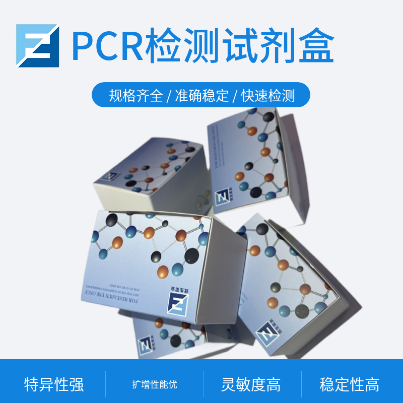 猪瘟病毒(CSFV)核酸检测试剂盒(荧光PCR法)