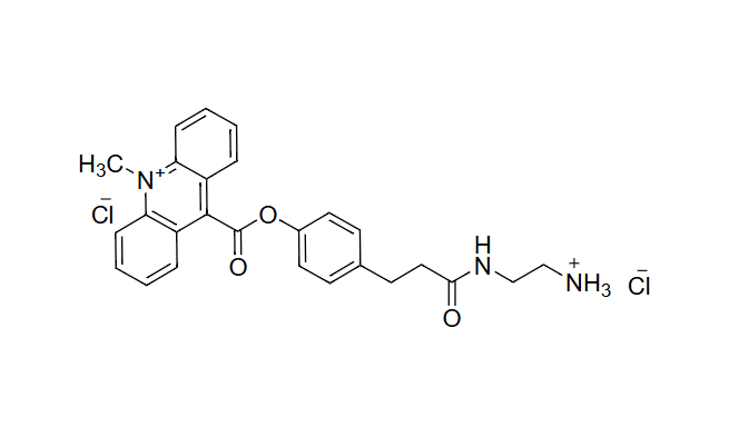 吖啶胺；吖啶氨基；Acridinium Amine ；Acridinium NH2