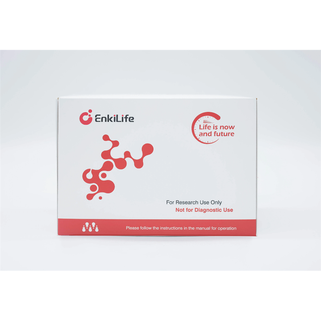 极速·超敏免疫组化试剂盒（pH 9.0）