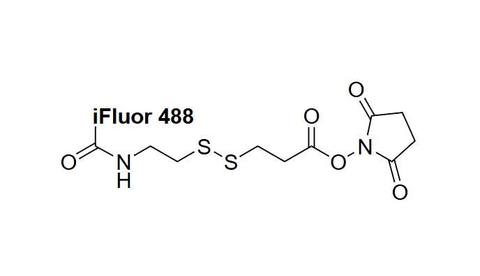 ReadiCleave iFluor 488 SSL NHS ester，ReadiCleave iFluor 488 SSL 琥珀酰亚胺酯