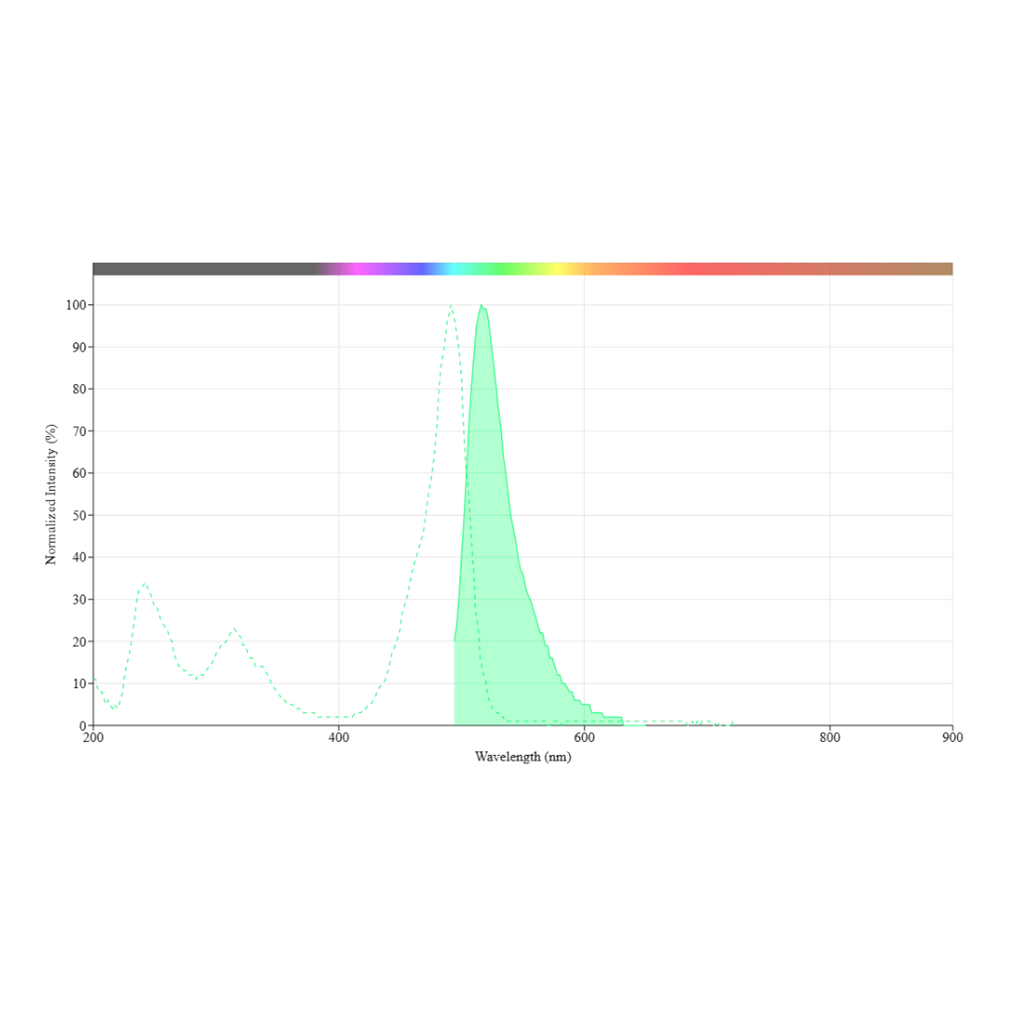 ReadiCleave iFluor 488 SSL NHS ester，ReadiCleave iFluor 488 SSL 琥珀酰亚胺酯