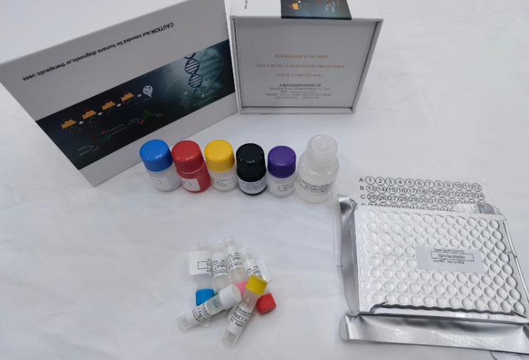 鸡细胞色素P450 2H1（CYP2H1）ELISA试剂盒