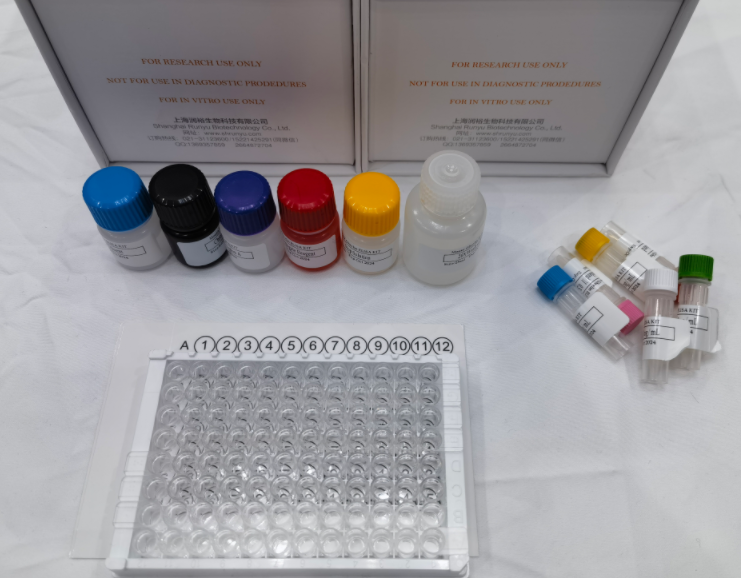 鸡禽流感H5N1IgG抗体（AIV-H5N1-IgG）ELISA试剂盒