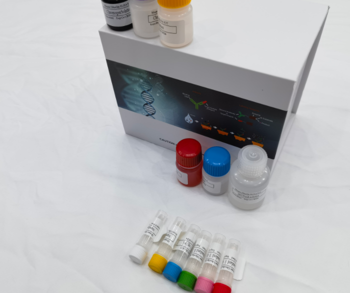 鸡戊型肝炎病毒IgM抗体（HEV-IgM）ELISA试剂盒