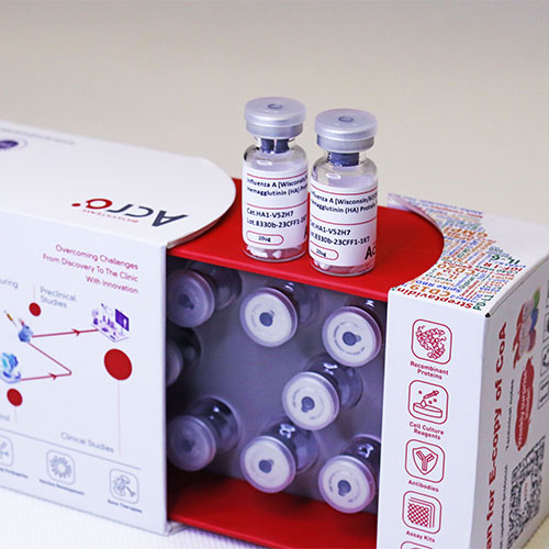 人透明质酸酶（Hyaluronidase）PH20-ACROBiosystems百普赛斯