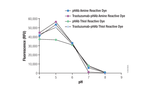 pHAb 巯基反应性荧光染料，pHAb Thiol Reactive Dye