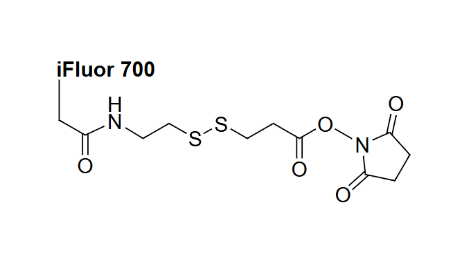 ReadiCleave iFluor 700 SSL NHS ester，ReadiCleave iFluor 700 SSL 琥珀酰亚胺酯