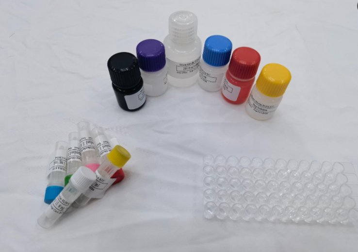 鸡巨噬细胞炎性蛋白-1α（MIP-1α；CCL3）ELISA试剂盒