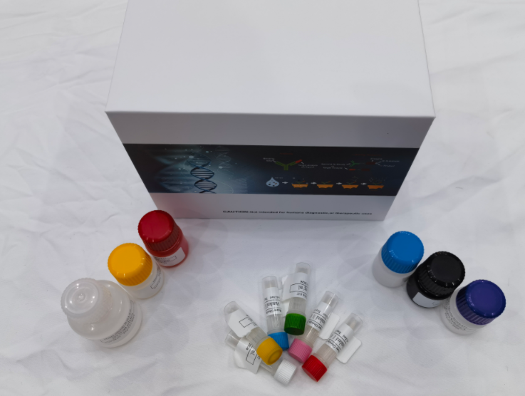 鸡乳头瘤病毒16型L1抗体（HPV16L1-Ab）ELISA试剂盒