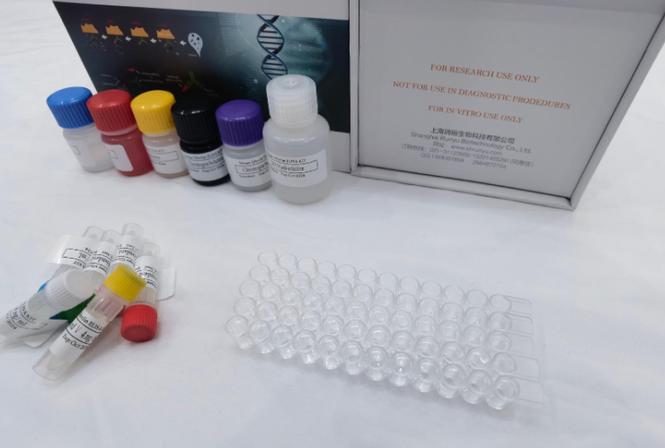 鸡维生素D3（VD3）ELISA试剂盒