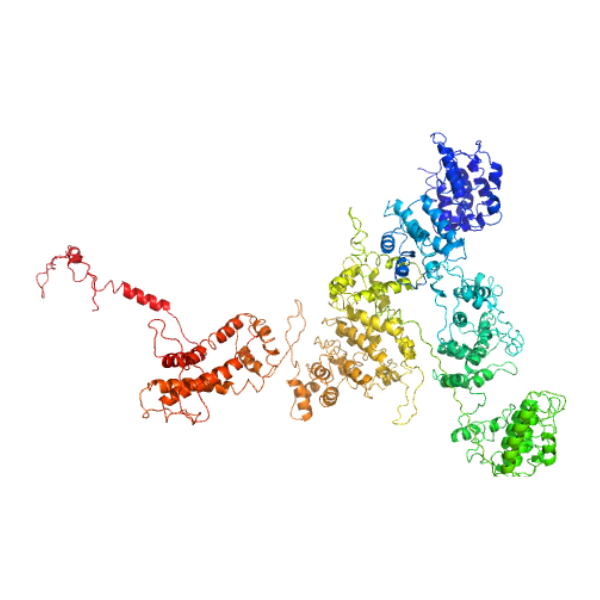 重组小鼠CD206/MRC1蛋白