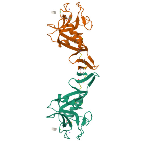 重组小鼠Dectin-2蛋白