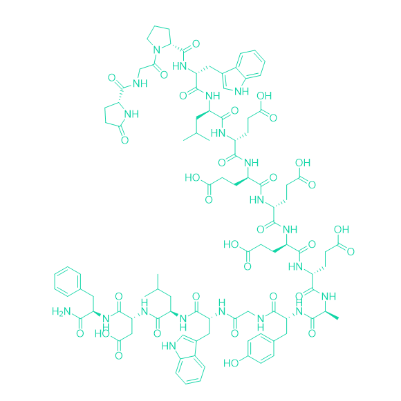 [Leu15]-胃泌素I；[Leu15]-Gastrin I/39024-57-2/[Leu15]-Gastrin I human
