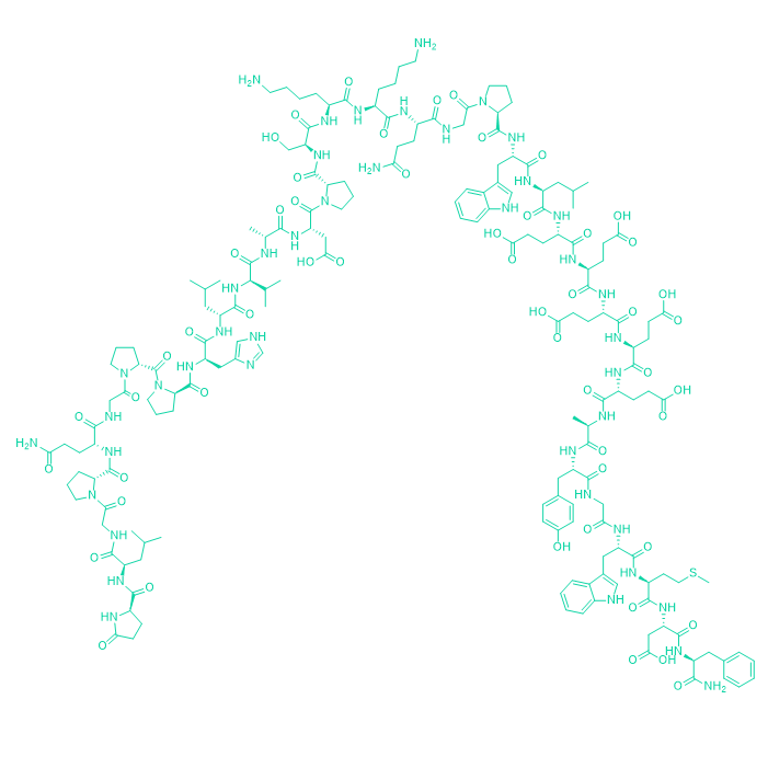 人源大胃泌素I；Big Gastrin I/60675-77-6/Big Gastrin I Human