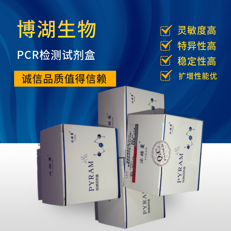 紫苏叶探针法PCR鉴定试剂盒