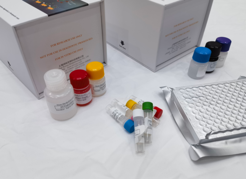 鸡氨基肽酶（aminopeptidase）ELISA试剂盒