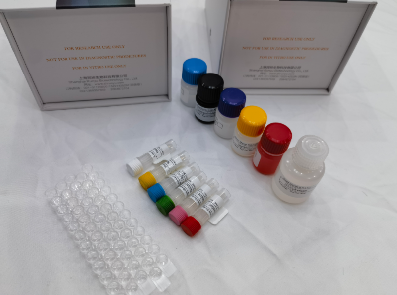 鸡马立克氏病毒抗体（MDV-Ab）ELISA试剂盒