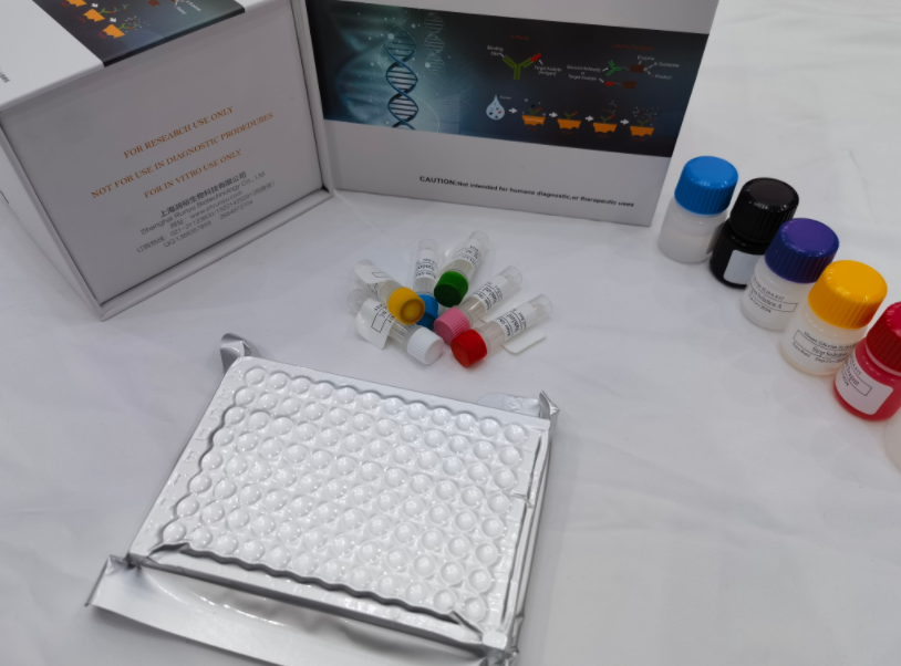 猪柯萨奇3型病毒（CoxV-3）ELISA试剂盒