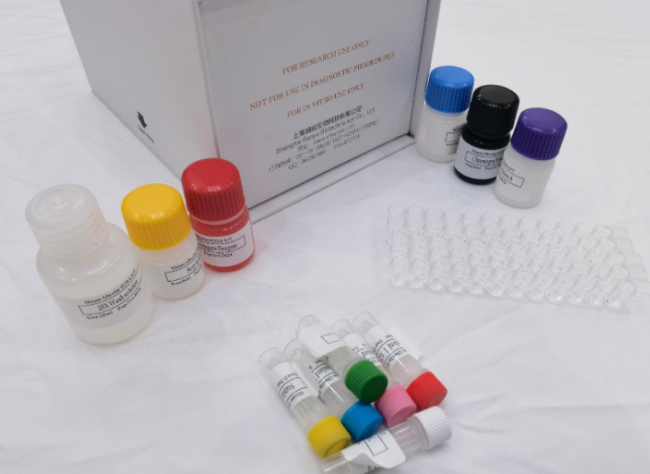 猪流行性腹泻病毒S蛋白（PEDV-S）ELISA试剂盒