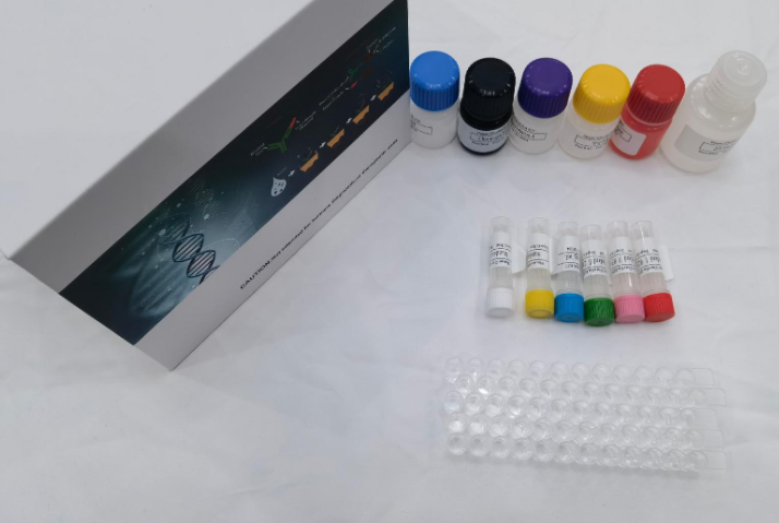 猪1,4,5-三磷酸肌醇（IP3）ELISA试剂盒