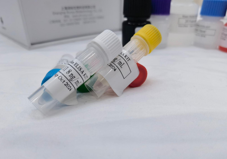 猪Ca-Mg-ATP酶（Ca-Mg-ATPase）ELISA试剂盒