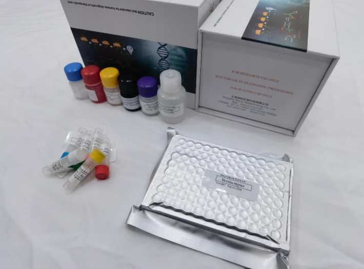 猪CD8分子（CD8）ELISA试剂盒