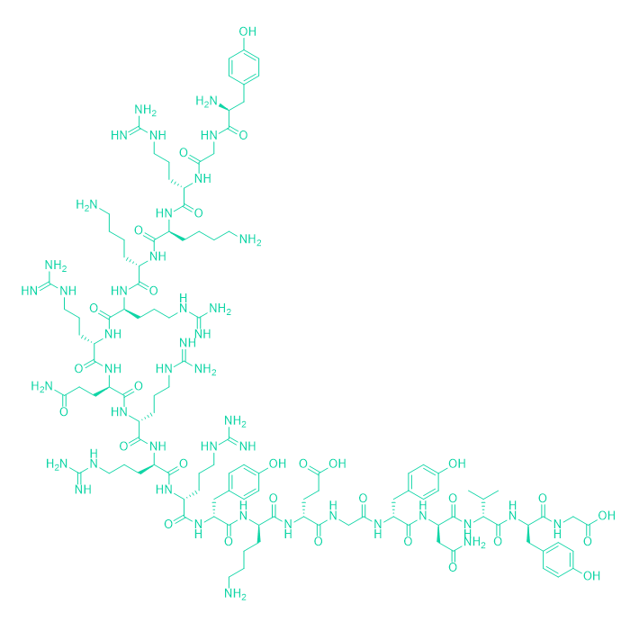 干扰肽TAT-GluA23Y/1404188-93-7/TAT-GluA23Y