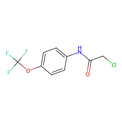 aladdin 阿拉丁 C1369492 2-氯-N-(4-(三氟甲氧基)苯基)乙酰胺 161290-85-3 ≥97%