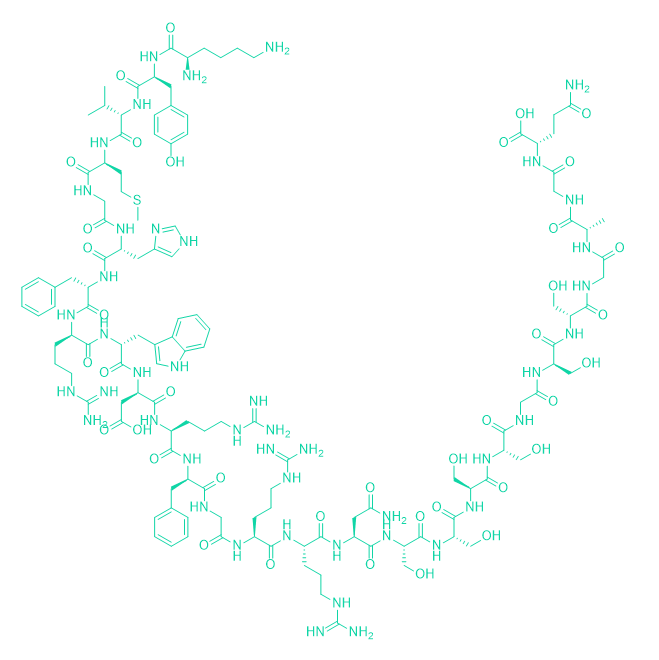 Lys-γ3-黑素皮质素肽/156159-18-1/Lys-γ3-MSH(human)