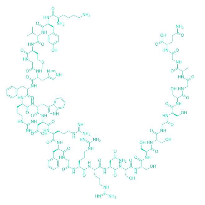 218P173 Lys-γ3-MSH(human) 156159-18-1.png