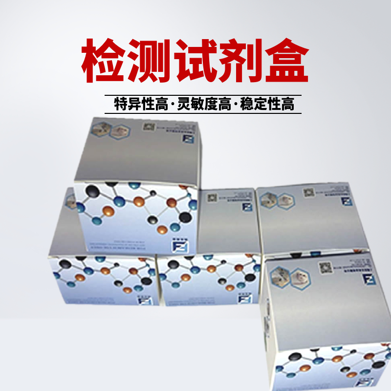 猫衣原体（CP）核酸检测试剂盒（荧光PCR法）