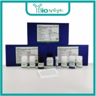 人X射线修复交叉互补蛋白4(XRCC4)ELISA试剂盒 YB-73945Hu