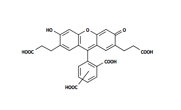 BCECF酸，BCECF，BCECF acid