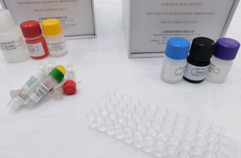 猪钙非依赖型磷脂酶A2（iPLA2）ELISA试剂盒