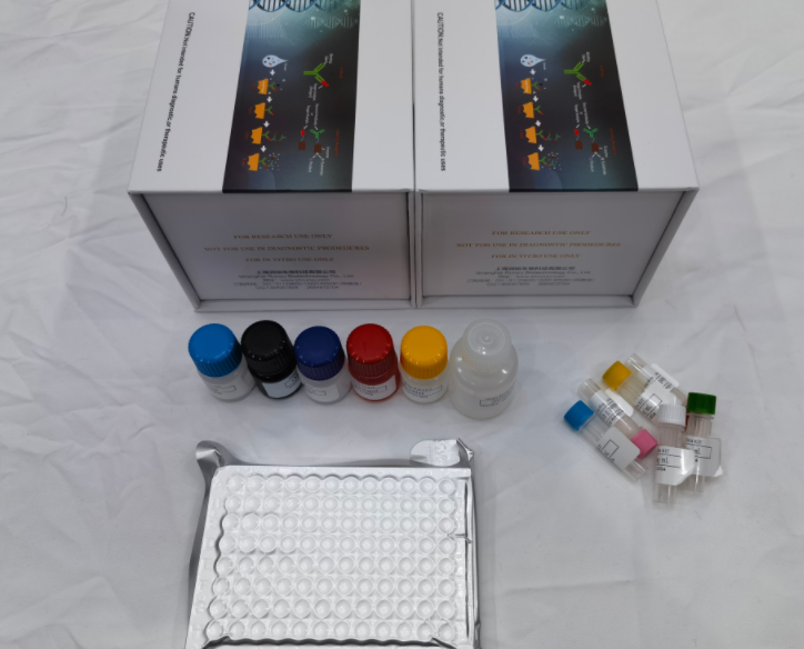 猪肌酸激酶同工酶MB（CK-MB）ELISA试剂盒