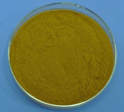 双花连翘提取物