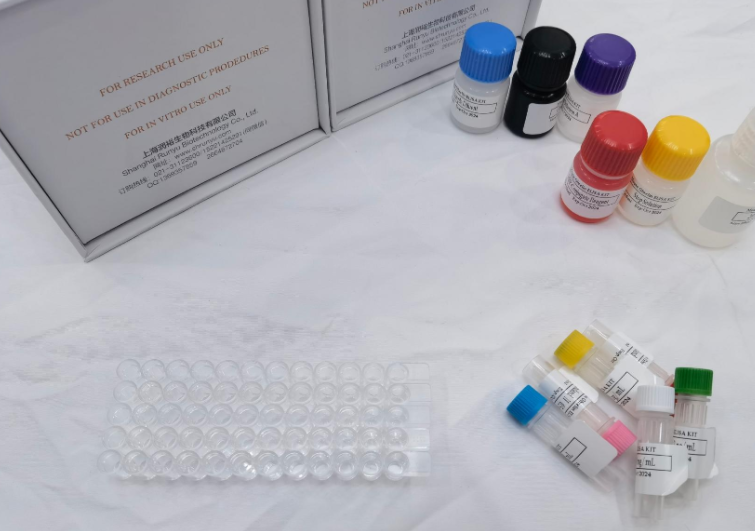 猪可溶性细胞间粘附分子1（sICAM-1）ELISA试剂盒