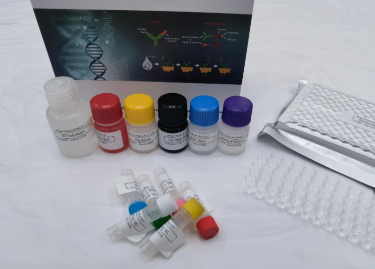 猪水通道蛋白1（AQP-1）ELISA试剂盒