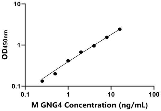 YJ37581.jpg YJ37581.jpg