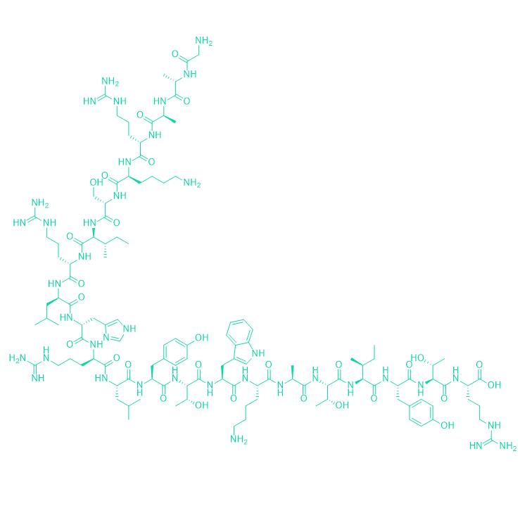 218P536 PP13 1099486-04-0.png