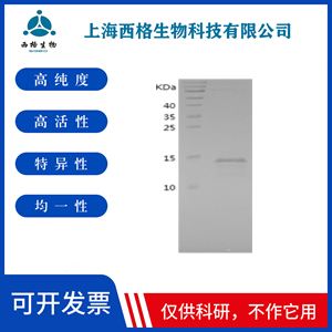 Recombinant Human ABHD10